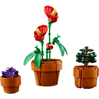 LEGO Botanical Collection - Plantas diminutas - 10329